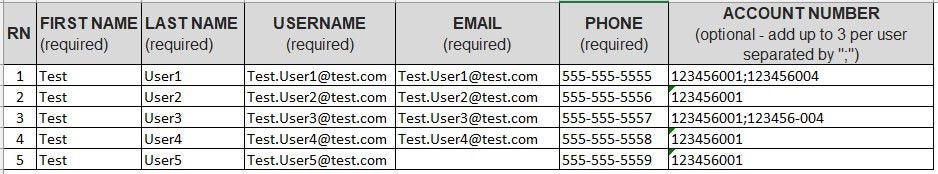 Spreadsheet showing a table for bulk user upload with columns for RN, First Name (required), Last Name (required), Username (required), Email (required), Phone (required), and Account Number (optional - add up to 3 per user separated by ';'). The table includes five rows with sample data