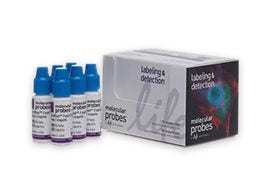 Cell Structure Reagents and Kits