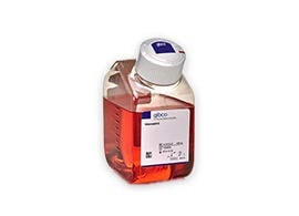 Stem Cell Culture Media