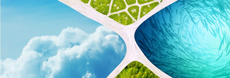 Thermo Fisher Scientific Supplier Guide to Decarbonization