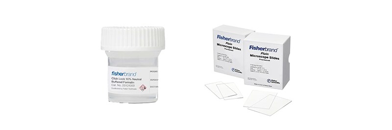 General Clinical Lab