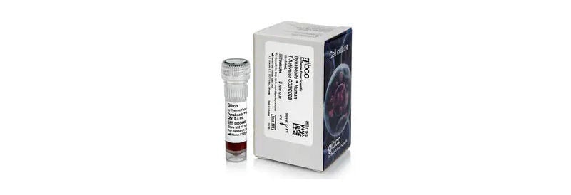 Gibco™ Dynabeads™ Human T-Activator CD3/CD28 for T Cell Expansion and Activation