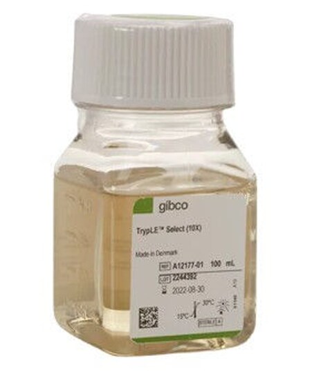 Gibco™ TrypLE™ Select Enzyme (10X), no phenol red