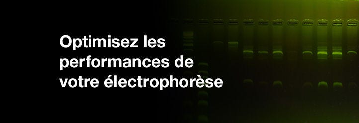 Optimisez les performances de votre électrophorèse
