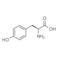 Tyrosine