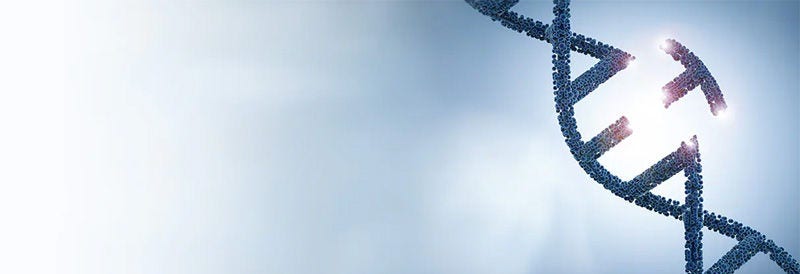 Gene Editing Solutions