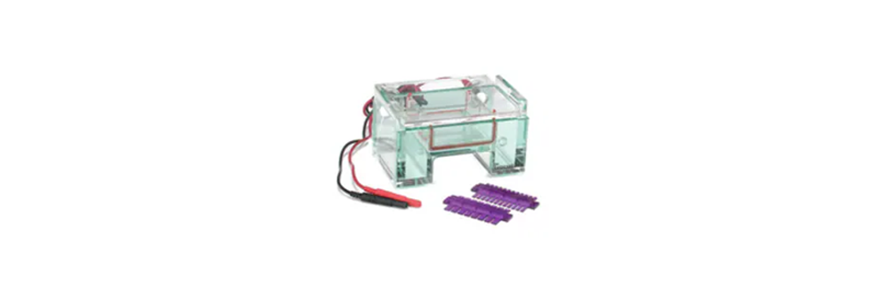 gel-electrophoresis-equipment-and-supplies-header-image