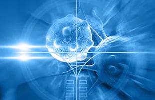 Immuno-Oncology Research