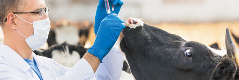 Drug Analysis by Sample Type