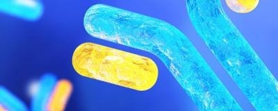 25629_Brand_C4_P1_Doc2