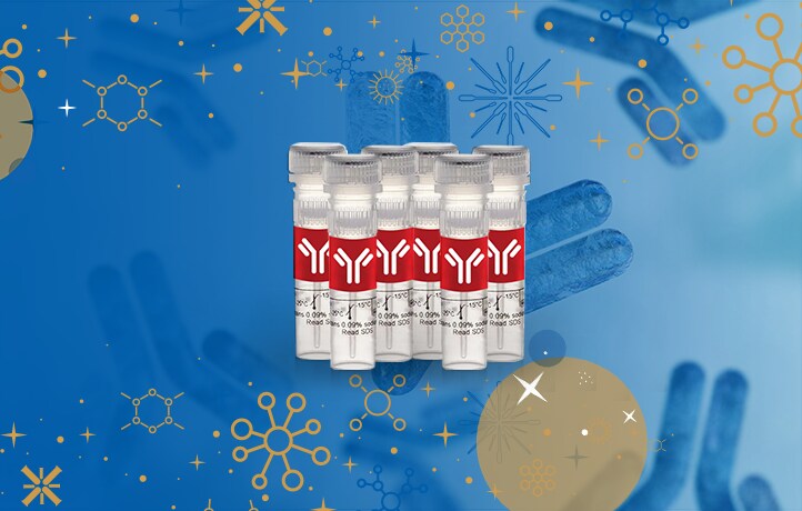 Get 25% Off Antibodies