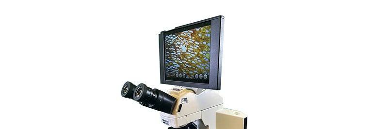 Digital Compound Microscopes