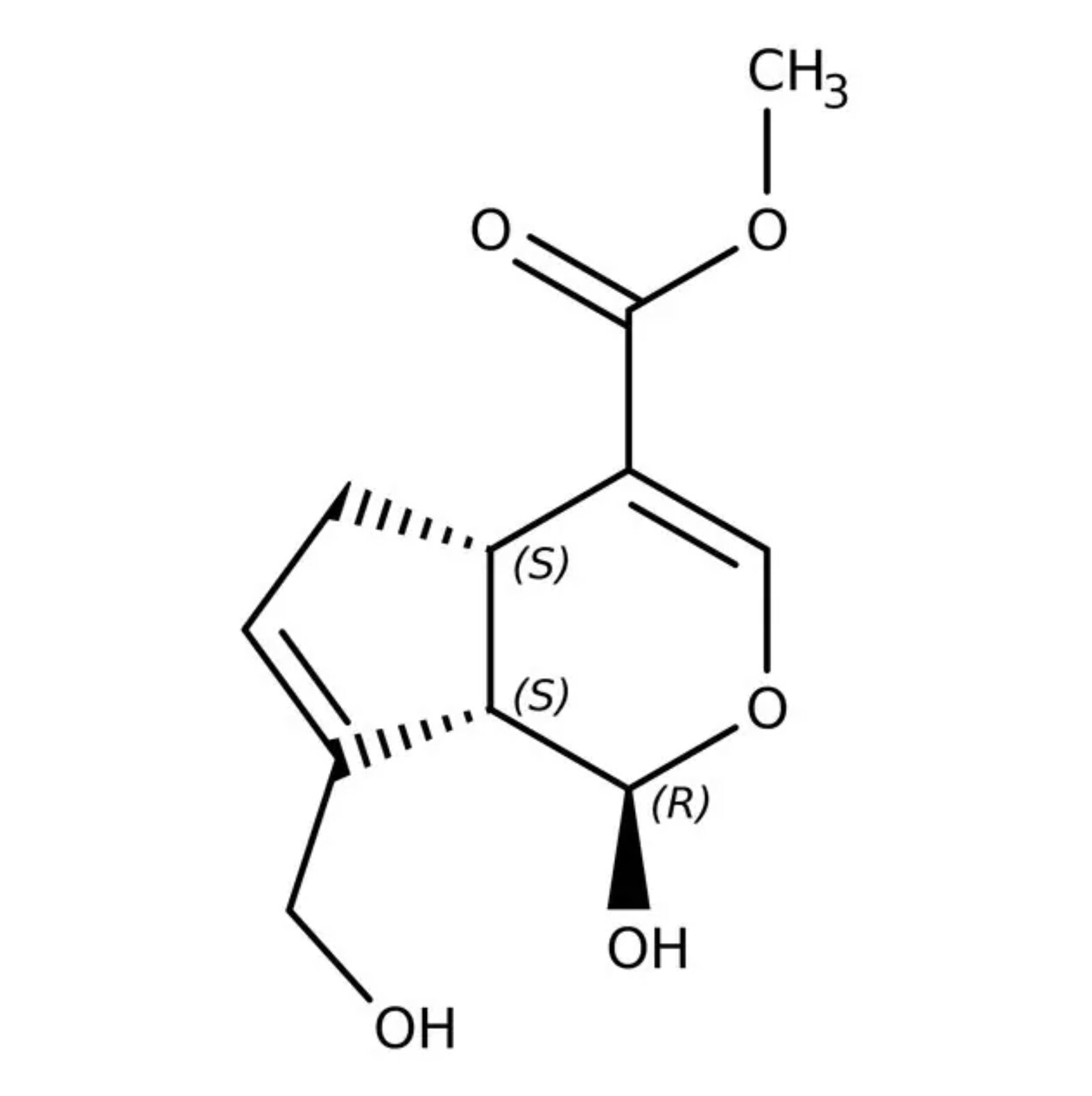 Protein Analysis Reagents