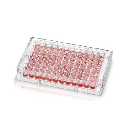 Thermo Scientific™ Nunc™ Microwell 96-Well Microplate with Nunclon™ Supra Surface
