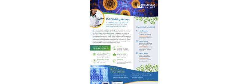 Cell Viability Assays