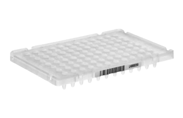 25360_Merch_P2_Product1