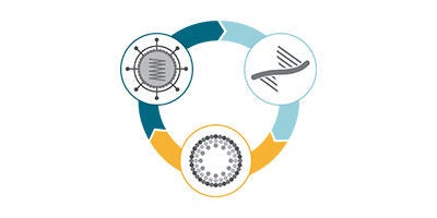 25629_Brand_C2_P1_Image1