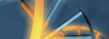 Produits chimiques pour la synthèse des acides nucléiques