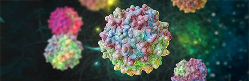 Pourquoi envisager la SEC pour analyser les agrégats d'AAV ?