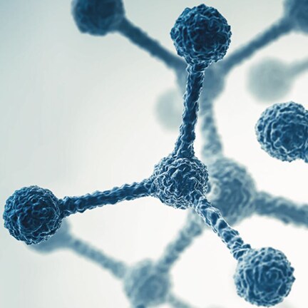 Devriez-vous utiliser la PCR en temps réel ou la PCR numérique ? Devriez-vous utiliser la PCR en temps réel ou la PCR numérique ?