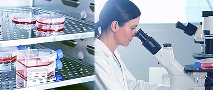 Les nombreux domaines dans lesquels les chambres à CO2 montrent leurs atouts Les nombreux domaines dans lesquels les chambres à CO2 montrent leurs atouts