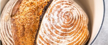 Fermentation Fundamentals: The Science of Sourdough Bread