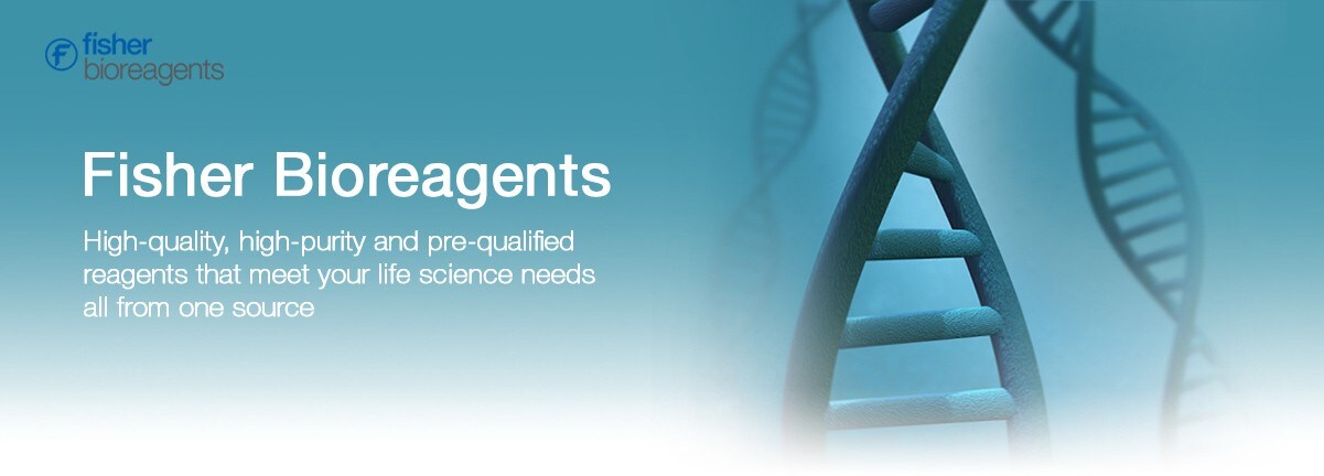 BioReagents-banner-v2 Bioreagents desktop banner