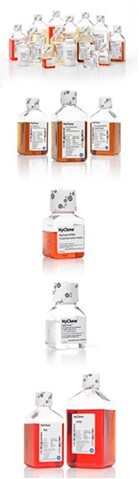 11638_Cell_Culture_Images2 11638_Cell_Culture_Images2