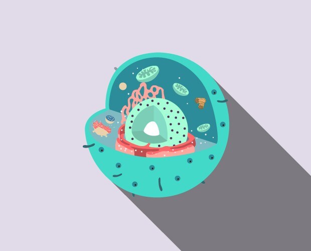 Life-Science-Banner-Cell-Biology-mobile Life-Science-Banner-Cell-Biology-mobile