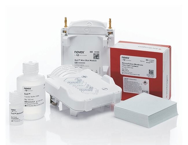 13132_Bolt_Western_Pack Bolt™ Western Pack