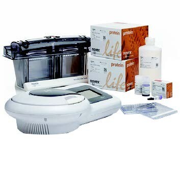 Bolt_Welcome_Pack Bolt_Welcome_Pack