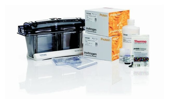 13132_NuPAGE_Tris_Acetate_Welcome_Pack NuPAGE™ Bis-Tris Welcome Pack, 10%, 10-well