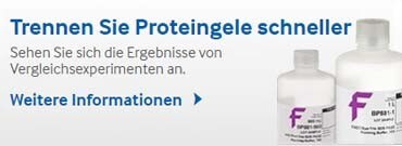 Separate Protein Gels Faster