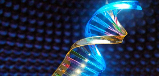 Krebsforschung und Biomarker-Entdeckung