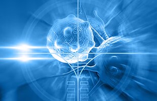Immunonkologische Forschung