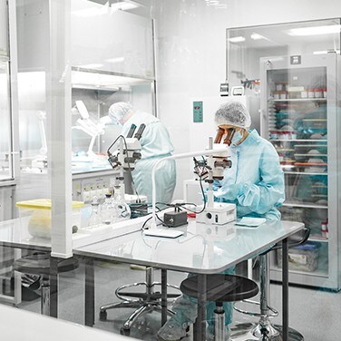 Wissenschaftler schauen durch ein Mikroskop