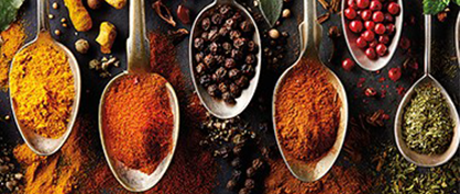 Wissenschaftler entdecken Geruchsrezeptoren auf der Zunge Wissenschaftler entdecken Geruchsrezeptoren auf der Zunge