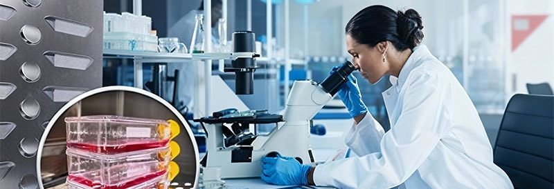 Cell Cultivation Without Contamination: How Does the CO2 Incubator Help?