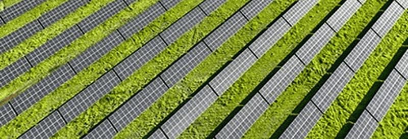 Dual Use of Land: Solar Panels and Agriculture