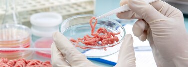 Meat grown in a petri dish Meat grown in a Petri dish