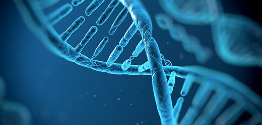 Gene Expression (mRNA) Analysis Gene Expression (mRNA) Analysis