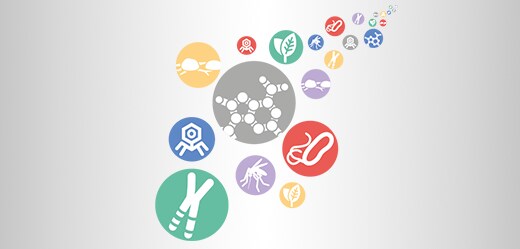 Real-Time PCR Handbook Real-Time PCR Handbook