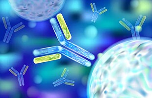 Immunology Research Immunology Research