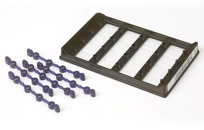 Applied Biosystems&trade; QuantStudio&trade; Absolute Q&trade; MAP16 Plates