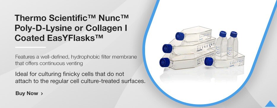 Thermo Scientific&trade; Nunc&trade; Poly-D-Lysine or Collagen I Coated EasYFlasks&trade; 