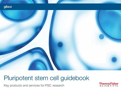 pluripotent-stem-cell