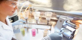 cell-cultivation-category