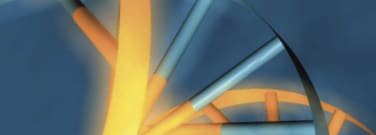 Nucleic Acid Synthesis Chemicals Nucleic Acid Synthesis Chemicals