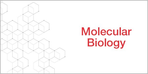 Molecular Biology Molecular Biology
