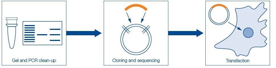 YourWorkflow YourWorkflow